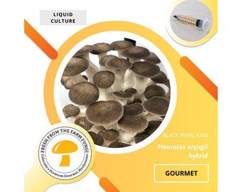 Black Pearl King Oyster Mushroom Liquid Culture