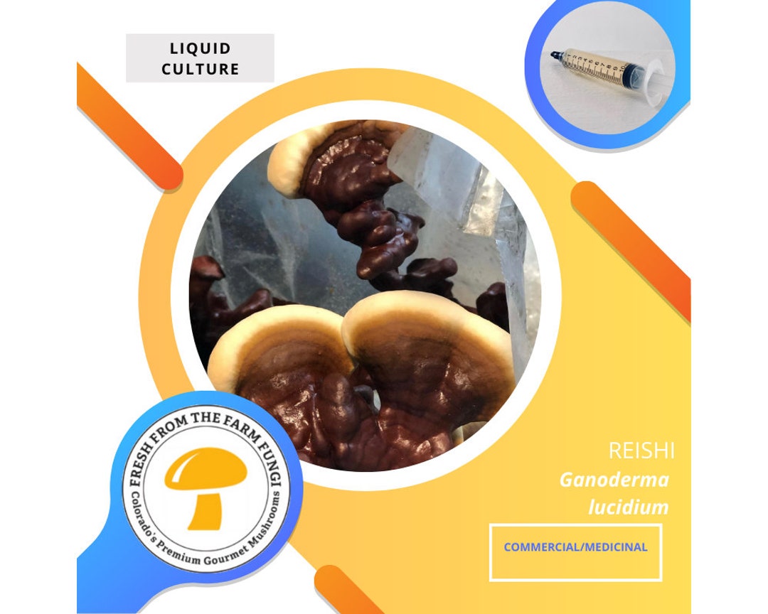 Reishi Mushroom Liquid Culture Etsy