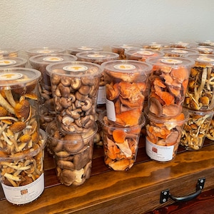 Freshly Preserved Fungi (Freeze Dried)