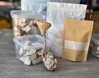 Tigermilchpilz (Getrocknet)