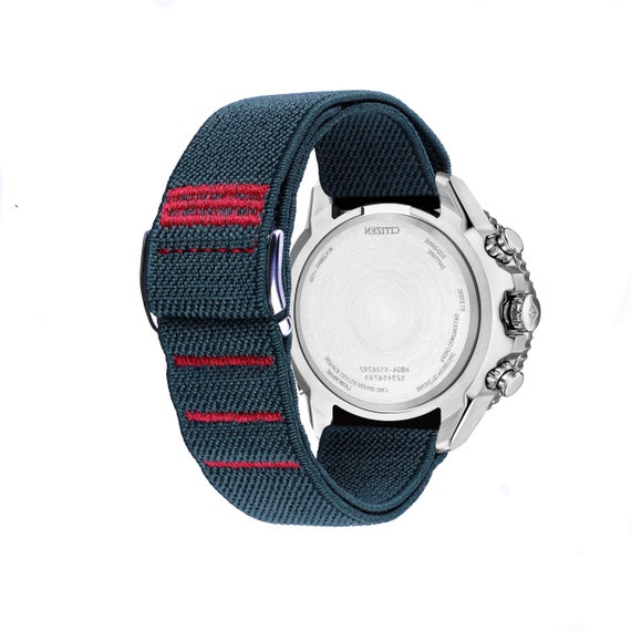 Citizen ecosphere watch band sale