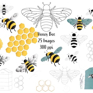 Bee Clip Art Image Files, Honey bee and black and white bees, PNG Instant Download, Summer Clipart Bundle, Commercial Use free