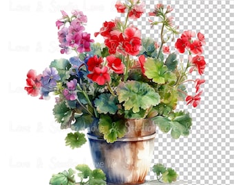 May include: A watercolor painting of a potted geranium plant with red and pink flowers. The plant is in a brown pot with a white rim. The background is a transparent checkered pattern.