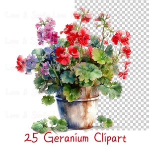 Puede incluir: Una pintura de acuarela de una planta de geranio en maceta con flores rojas y rosas. La planta está en una maceta marrón con un borde blanco. El fondo es un patrón de cuadros transparente.