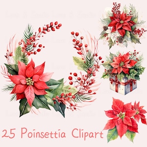 25 Clipart de poinsétia em aquarela, suprimento digital para festa de Natal, cenário de flores com charme invernal. Arquivo PNG de transparência. Uso comercial