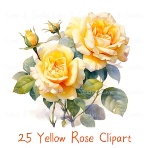 25 Gelbe Rose Clipart. Digitale Blumen Aquarell Illustration. Elegante Rose DIY Handwerk, hochwertige JPG, digitaler Download, kommerzielle Nutzung