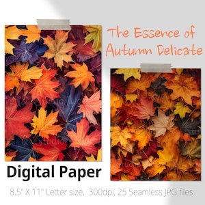 25 La esencia del otoño Delicado patrón sin costuras, hojas de arce secas y papel tamaño carta digital de follaje. Uso comercial
