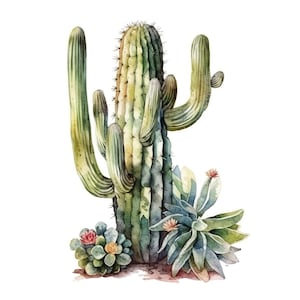 25 Watercolor Catus Clipart. High Quality JPGs, Digital Download, Free Commercial use, Cactus illustration, Greenery