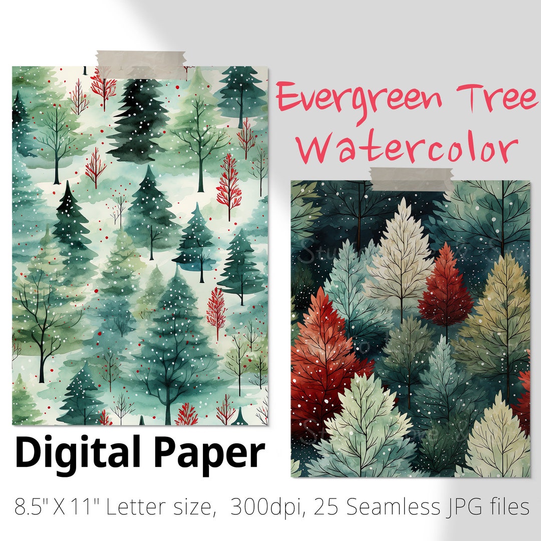25 Evergreen Tree Seamless Digital Paper, Pine Tree Pattern. Christmas ...