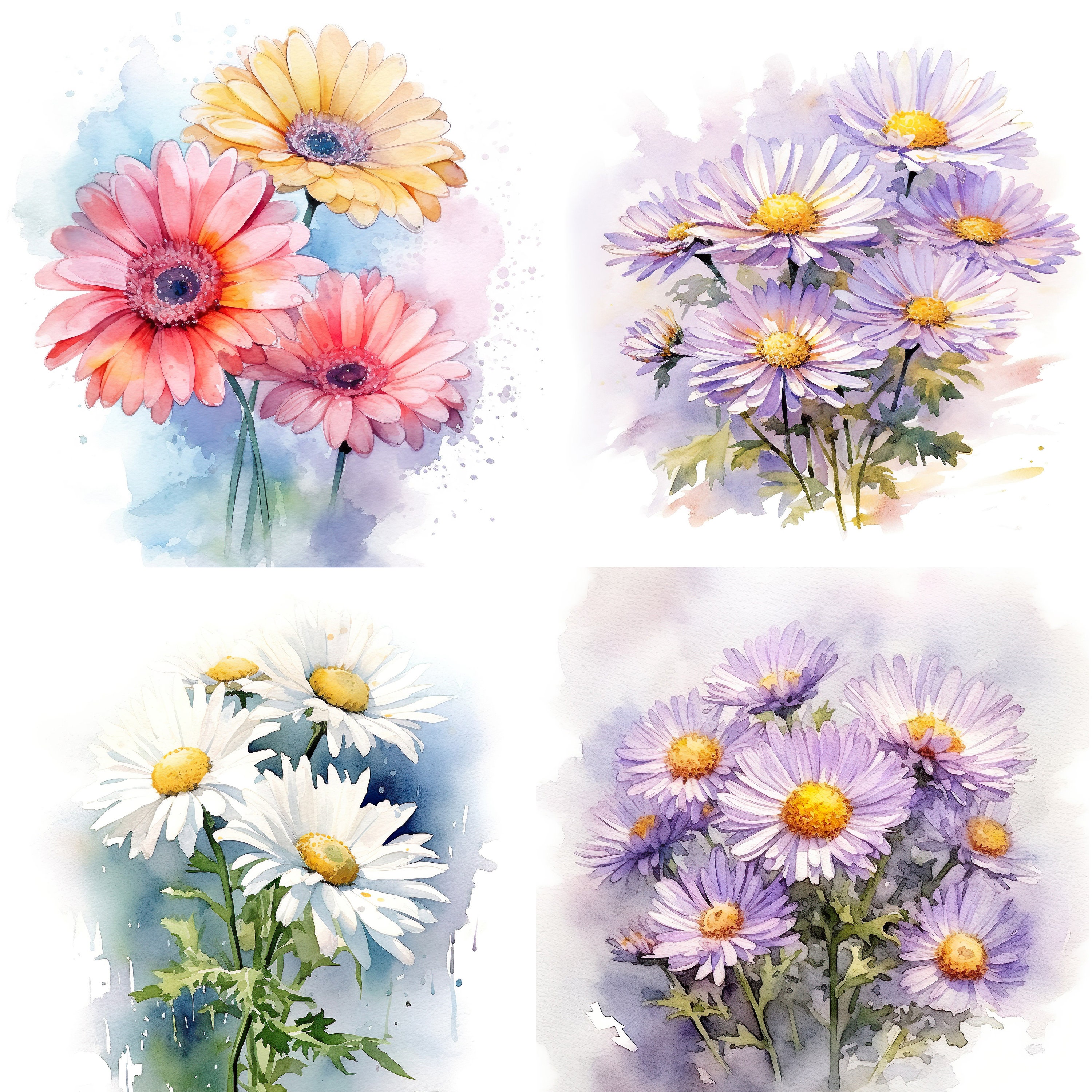25 Pastel Daisy Clipart. Digital Floral Watercolor Illustration. Spring ...