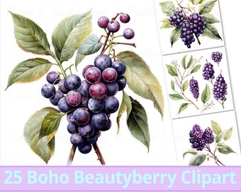 25 Bohostyle Beautyberry Clipart. Digital Floral Watercolor illustration. Flower Sublimation Design, Botanical Prints, Commercial use