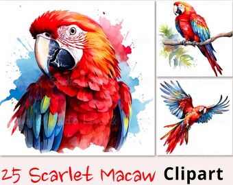 25 Scarlet Macaw Watercolor Clipart, Printable Bird Bundle Pack, High Quality JPG, Commercial Use, Paper craft, Junk Journal, Scrapbooking