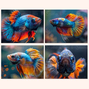 25 Colorful Mahogany Bettas Portrait Digital Paper, Printable Realistic ...