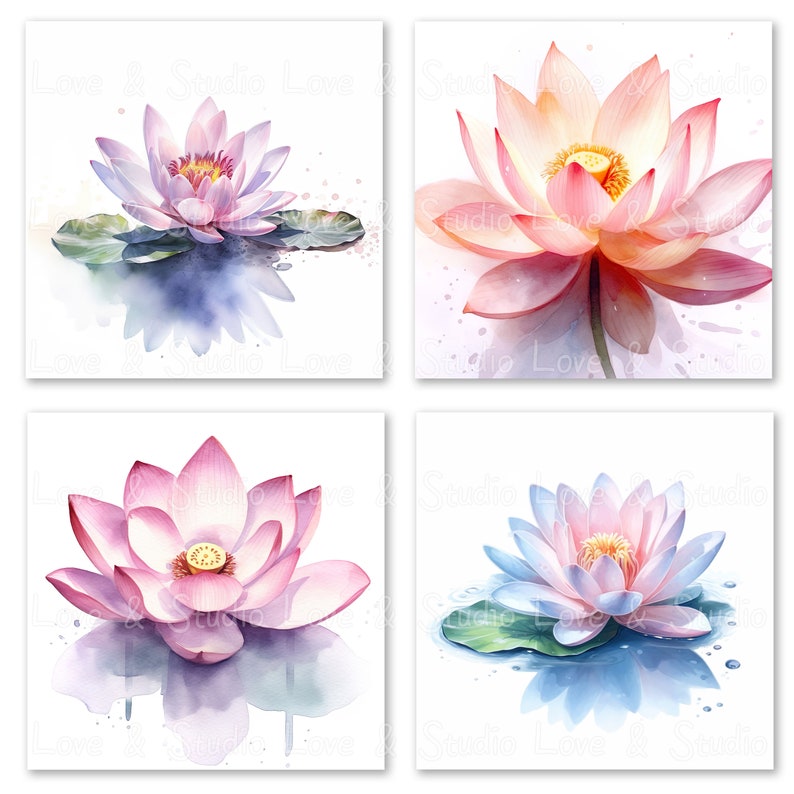 25 Lotus Watercolor Clipart. Digital Floral Watercolor Images ...