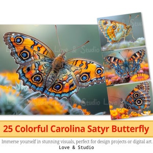 25 carta digitale colorata Carolina Satyr Butterfly Portrait, clipart stampabile realistica dei lepidotteri, PNG di alta qualità, uso commerciale