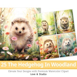 25 Il riccio nel bosco Clipart, acquerello adorabile animale nell'incantevole foresta sublimazione, uso commerciale, download immediato.