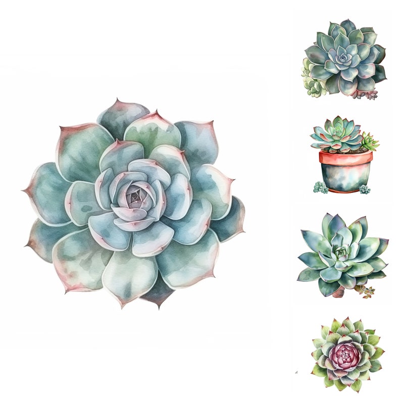 May include: A collection of five watercolor illustrations of succulents. The succulents are in various shades of green, pink, and blue. Some of the succulents are in pots, while others are not.