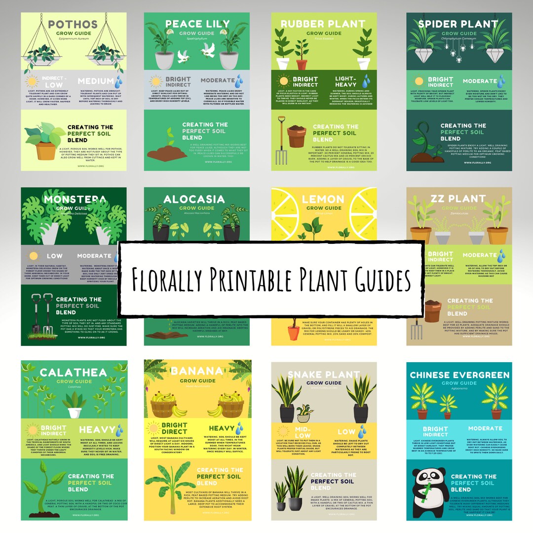 Printable Plant Care Guides-house Plants Print Plant Poster Houseplants Print Plant Art ...
