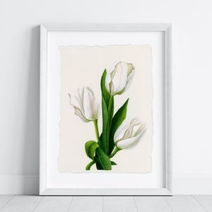 White Tulips Original Watercolour Painting, A5 Botanical Floral Art, Small Unframed Flower Artwork, Minimal Nature Illustration Gift