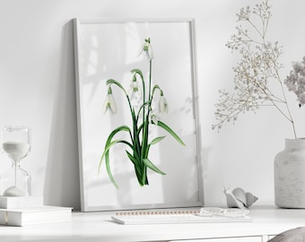 スノードロップの絵画 花の水彩画 アート絵画 花の壁アート 春の花の