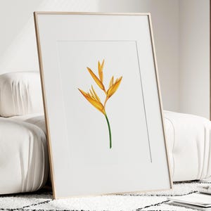 Yellow Heliconia Watercolour Art Print Botanical Floral Wall Decor Tropical Flower Painting Nature Inspired Home Gift for Plant Lovers