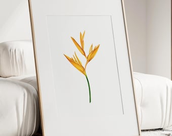 Yellow Heliconia Art Print: Tropical Floral Watercolor Painting