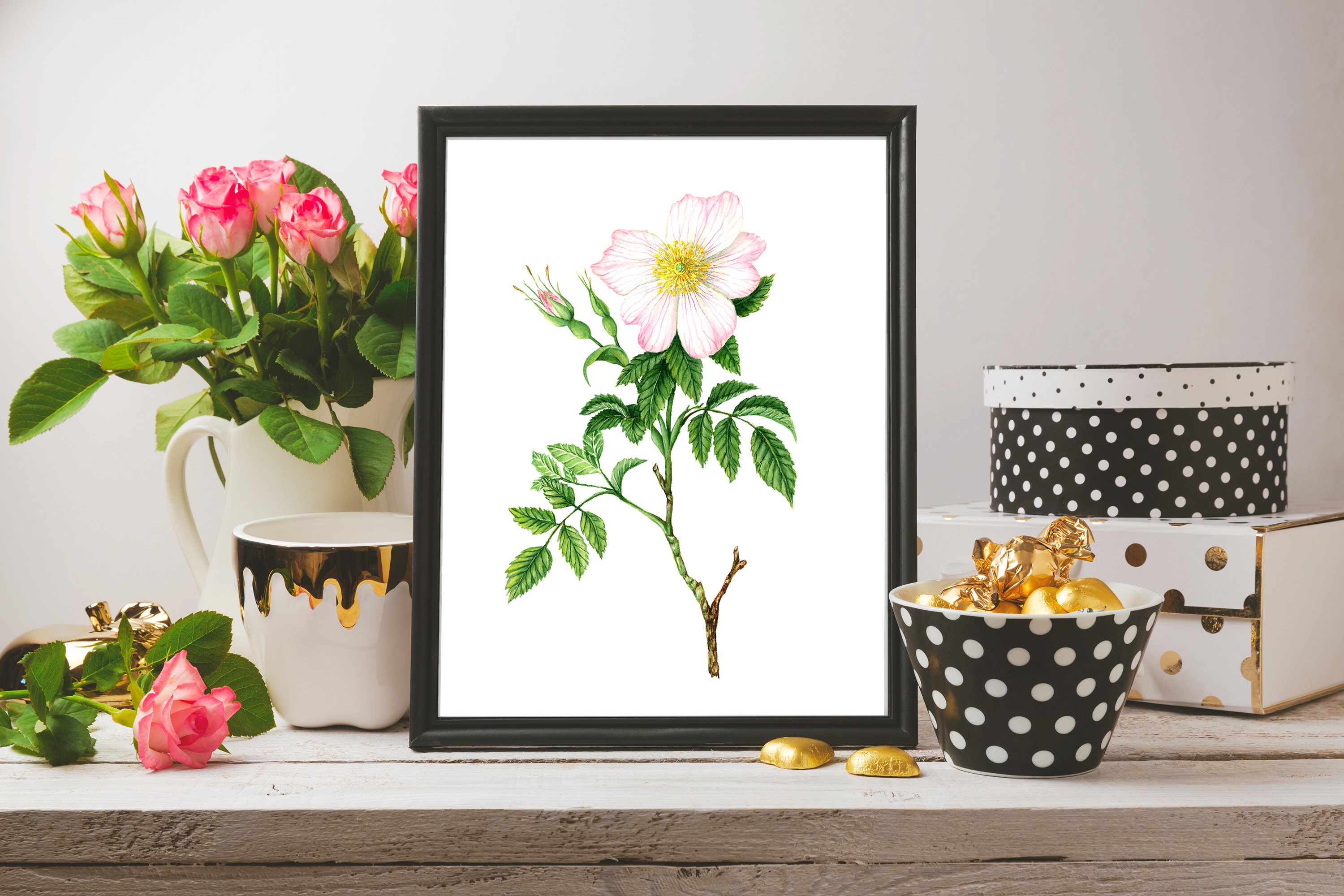 Pink Dog Rose Watercolor Art Print: Spring Floral Wall Decor - Etsy
