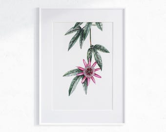 Passionflower Painting, A3 Botanical Wall Art, Passiflora Flower, Original Watercolour, Pink Floral Illustration, Tropical Garden Artwork