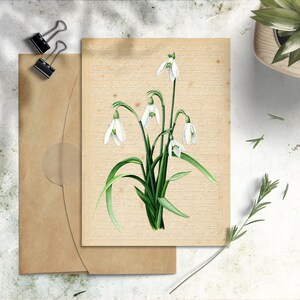 Snowdrops PRINTABLE Card, 5 x7 Vintage Floral Greeting, Watercolor Snowdrop Art, Digital Card for Spring, Sympathy, Encouragement, Birthday