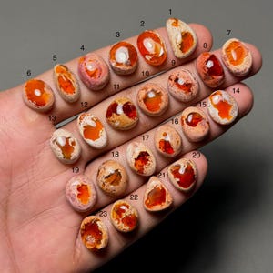 May include: A collection of twenty-three oval-shaped opals, each with unique patterns and colors. The opals range in color from orange and red to white and pink, with visible internal structures. The opals are numbered 1 through 23.