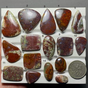 Puede incluir: Una colección de dieciséis piedras preciosas cabujón pulidas y multicolores en varias formas, incluyendo gotas, óvalos y rectángulos. Las piedras presentan tonos tierra de rojo intenso, marrón y verde. Se incluye una moneda de 20 sen para escala.