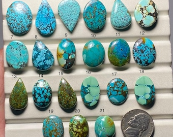 Op de afbeelding: Een verzameling van eenentwintig turkoois edelstenen in diverse vormen, waaronder ovaal, druppelvormig en onregelmatig. De stenen tonen een scala aan blauwe en groene tinten met bruine matrixpatronen. Een munt is inbegrepen ter referentie.