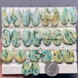 May include: A collection of polished gemstones in various shapes, including ovals, rounds, and a square. The stones display a mix of green, yellow, and black veining patterns. A nickel coin is included for size comparison.