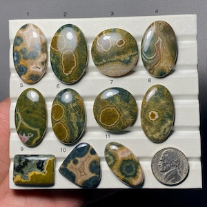 May include: A collection of eleven polished gemstones in various shapes, including ovals, rounds, and a rectangle. The stones display a range of colors, such as green, brown, and cream, with unique patterns. A US nickel is included for size reference.