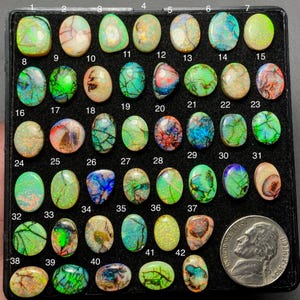 May include: A collection of 42 oval-shaped opals in a black tray. The opals display a variety of colors, including green, blue, orange, and brown, with unique patterns and internal structures. A US nickel is included for size reference.