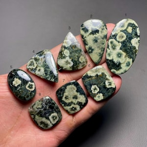 May include: Eight green and white flower agate cabochons, numbered 1 through 8, are displayed on a hand. The cabochons are various shapes and sizes.