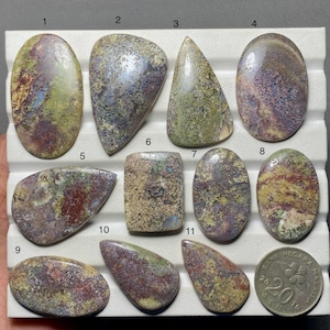 Puede incluir: Once piedras preciosas cabujón pulidas con formas variadas y patrones moteados en tonos verde oliva, rojo oscuro y gris. Las piedras están dispuestas en una bandeja de exhibición ranurada, junto a una moneda de 20 sen como referencia.