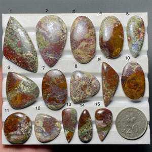 Puede incluir: Una colección de quince piedras preciosas cabujón pulidas y multicolores en varias formas, incluyendo ovaladas, de lágrima y triangulares. Cada piedra presenta patrones únicos de rojo, verde, marrón y crema. Se incluye una moneda de 20 sen como escala.