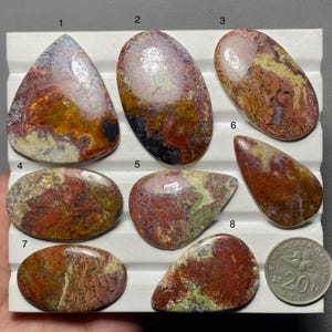 Puede incluir: Ocho piedras preciosas cabujón pulidas y multicolores con patrones terrosos de rojo, marrón, amarillo y verde, dispuestas en una bandeja de exhibición blanca con ranuras. Se incluye una moneda plateada de 20 céntimos junto a las piedras numeradas.