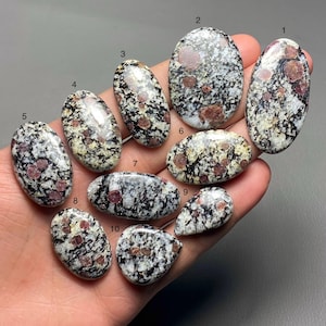 May include: Ten polished gemstones in various oval and teardrop shapes. The stones have a speckled pattern of black, white, and tan with reddish-brown inclusions. The gemstones are held in a hand.