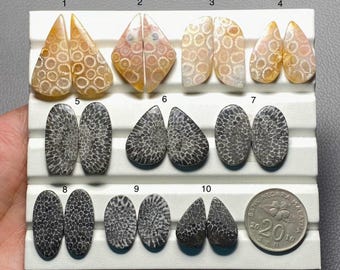 May include: A collection of ten pairs of polished fossil coral cabochons arranged on a white display tray. The stones feature distinct honeycomb patterns in shades of tan, beige, and dark gray. A 20 sen Malaysian coin is included for scale.