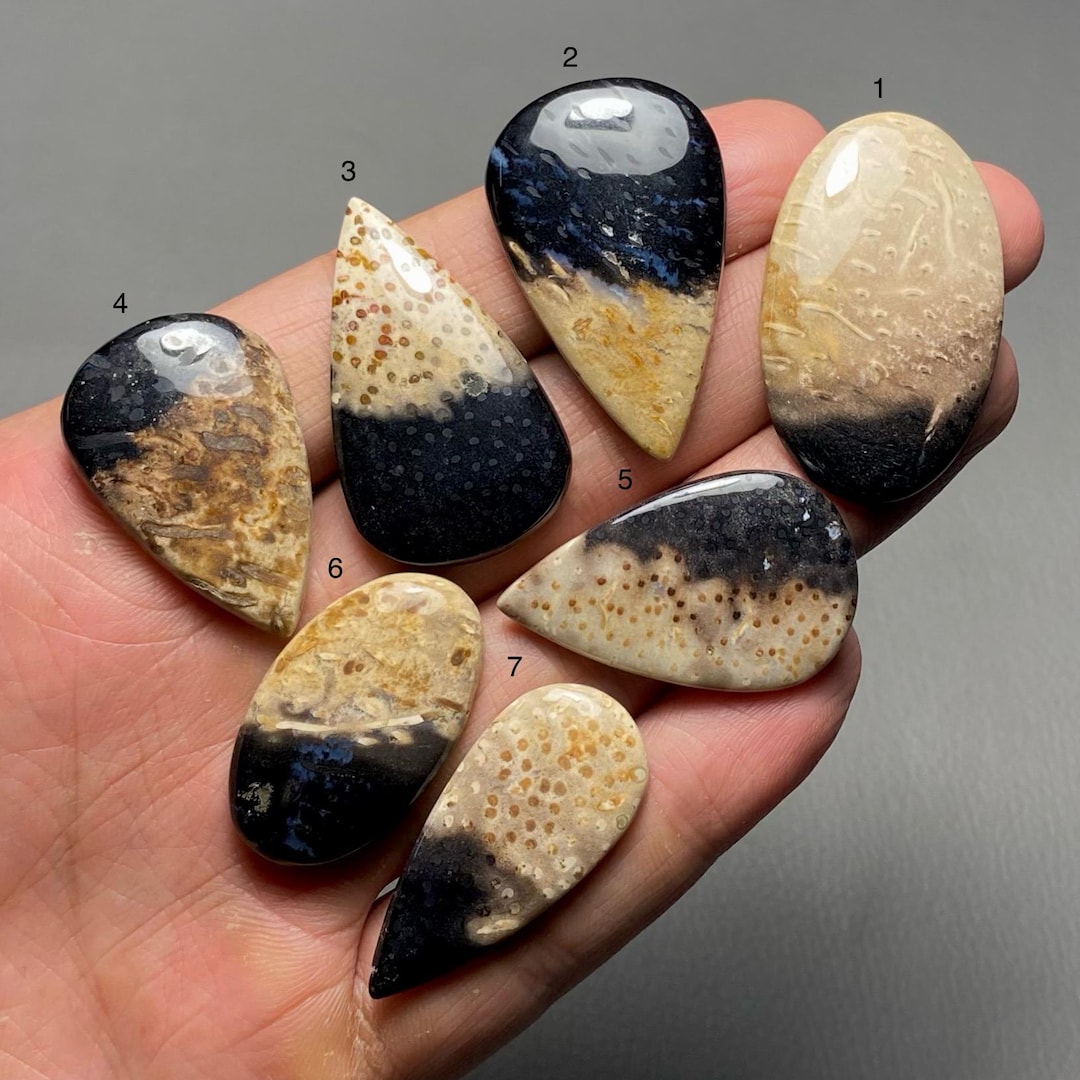 Palm Root Agate Top Grade Quality 100% Natural Cabochon Loose