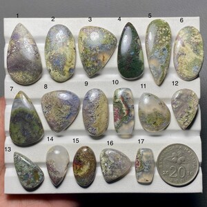 May include: A collection of seventeen polished, multi-colored moss agate cabochons in various shapes, including teardrop, oval, and rectangular, arranged on a white display tray with a 20 sen Malaysian coin for scale, showing green, purple, and grey hues.