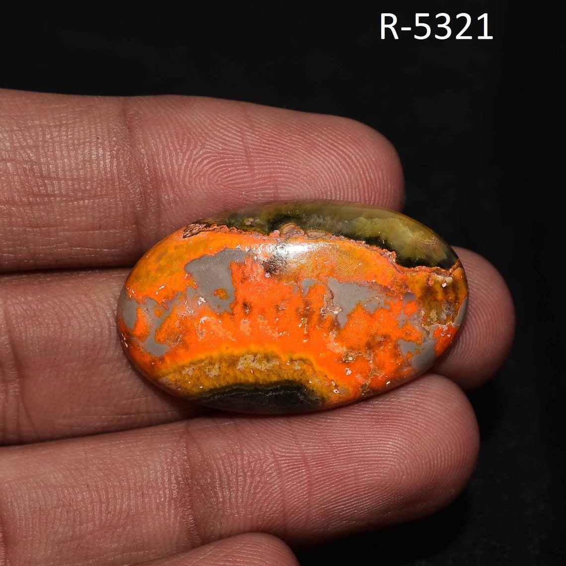 bee jasper bee jasper