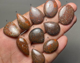 Fósil de hueso de dinosaurio de primera calidad, piedra preciosa suelta de cabujón 100 % natural para joyería, código ZL-1298