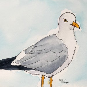 Watercolor Painting-Original Watercolor-Seagull Painting-8 x 10-Seagull #2