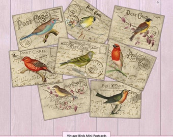 Vintage Birds Mini Postcards Ephemera INSTANT DOWNLOAD