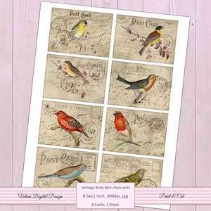 Vintage Birds Mini Postcards Ephemera INSTANT DOWNLOAD image 2