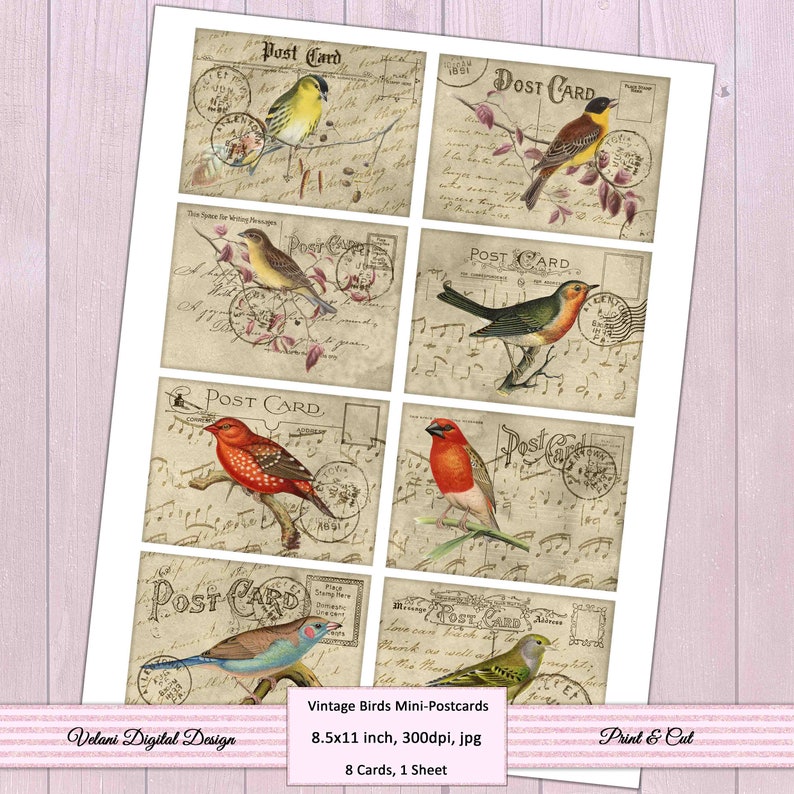 Vintage Birds Mini Postcards Ephemera INSTANT DOWNLOAD image 2