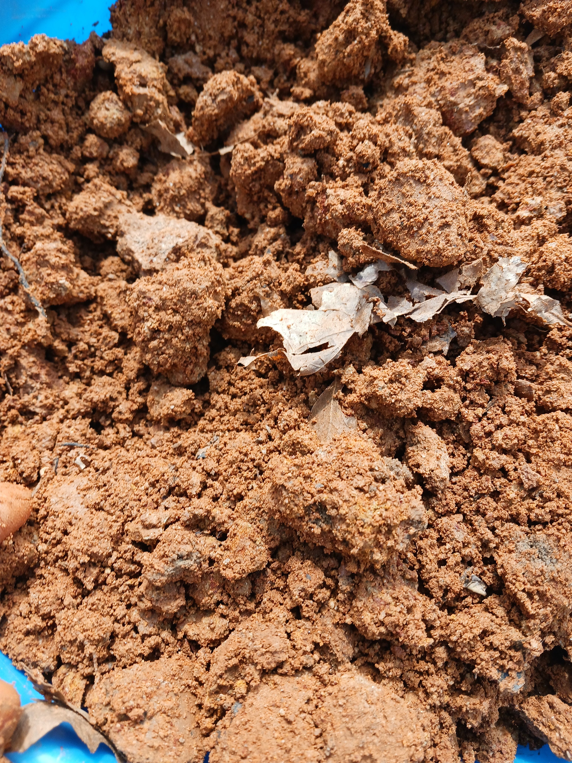 Sedona Red Clay / Dirt Arizona Edible Clay